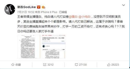 骚白最新爆料,揭秘游戏界神秘事件，带你走进骚白背后的故事